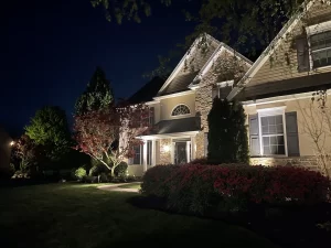 Landscape Lighting